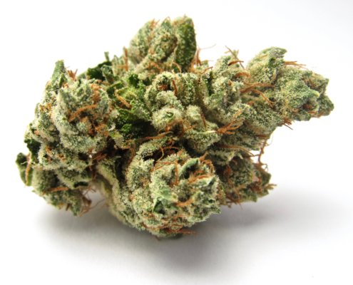 top-12-og-kush-strains-of-all-time-::-how-to-buy-weed-online.