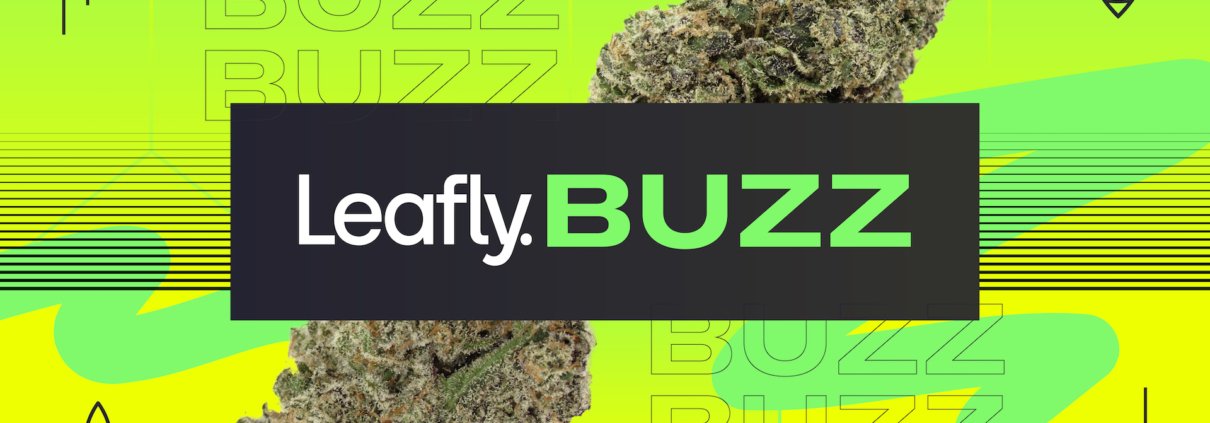 leafly-buzz:-12-hot-cannabis-strains-of-august-2024-::-where-to-order-cbd-online.