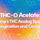 thc-o-acetate:-hemp-sparks-imagination-and-critical-concern-–-ohio-cannabis-guide-|-where-to-buy-weed-online