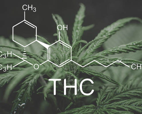 4th-circuit-court-rules-thc-o-meets-legal-definition-of-hemp,-differing-from-dea-|-how-to-buy-cbd-oil-online