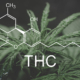 4th-circuit-court-rules-thc-o-meets-legal-definition-of-hemp,-differing-from-dea-|-how-to-buy-cbd-oil-online