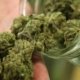 list-of-places-to-buy-recreational-marijuana-tuesday-in-ohio-|-where-to-order-cannabis-online