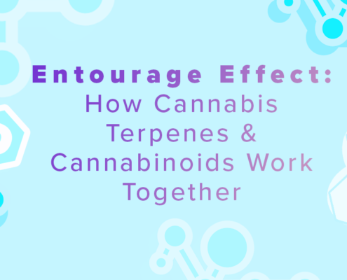 entourage-effect:-how-cannabis-terpenes-&-cannabinoids-work-together-–-ohio-cannabis-guide-|-how-to-order-cbd-online