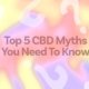 top-5-cbd-myths-you-need-to-know-explained-–-ohio-cannabis-guide-|-where-to-order-weed-online