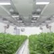 here-are-the-top-3-cannabis-reits-|-where-to-buy-cbd-online