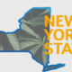 new-york-cannabis-regulators-increase-the-number-of-recreational-licenses-and-tweak-rules-|-how-to-buy-weed-online