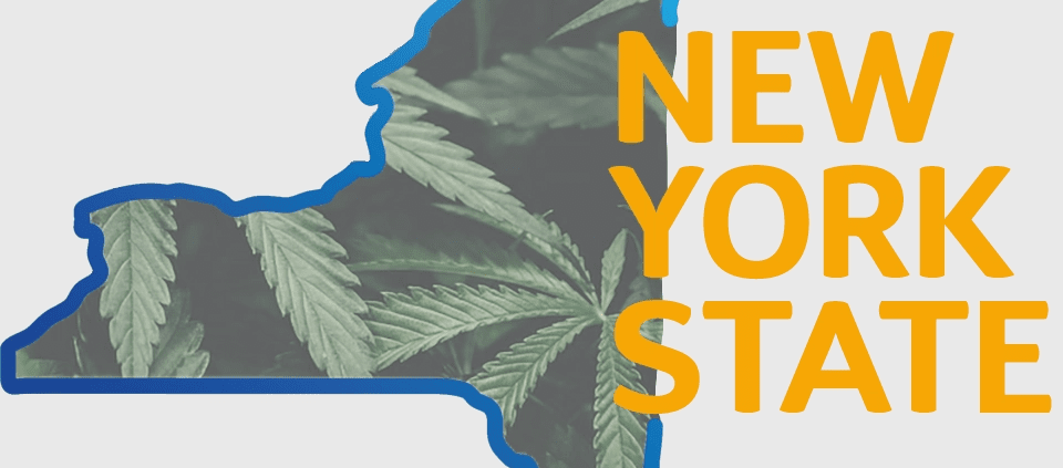 new-york-cannabis-regulators-increase-the-number-of-recreational-licenses-and-tweak-rules-|-how-to-buy-weed-online