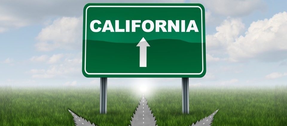 california-craft-farmers’-direct-to-consumer-bill-awaiting-governor’s-signature-|-how-to-buy-weed-online