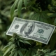 green-thumb-secures-a-‘first-of-its-kind’-credit-facility-of-$150-million-|-where-to-order-skittles-moonrock-online