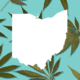 ohio-adult-use-cannabis-sales-reach-$44m-during-first-month-of-sales-–-ganjapreneur-|-where-to-order-skittles-moonrock-online