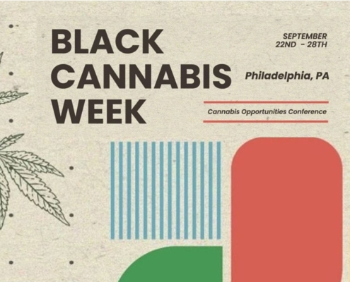 black-cannabis-week:-a-journey-of-education,-celebration,-and-empowerment-–-ganjapreneur-|-how-to-buy-skittles-moonrock-online