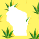 wisconsin-tribal-cannabis-advocates-launch-medical-cannabis-awareness-campaign-–-ganjapreneur-|-where-to-buy-skittles-moonrock-online