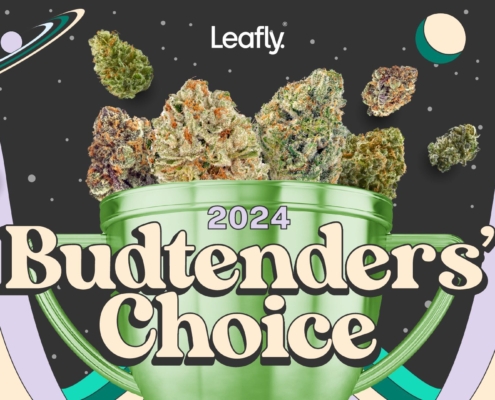 what’s-good?-leafly-budtenders’-choice-survey-2024-is-now-live-|-how-to-order-skittles-moonrock-online