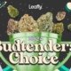 terms-and-conditions-for-leafly-budtenders-|-how-to-order-skittles-moonrock-online