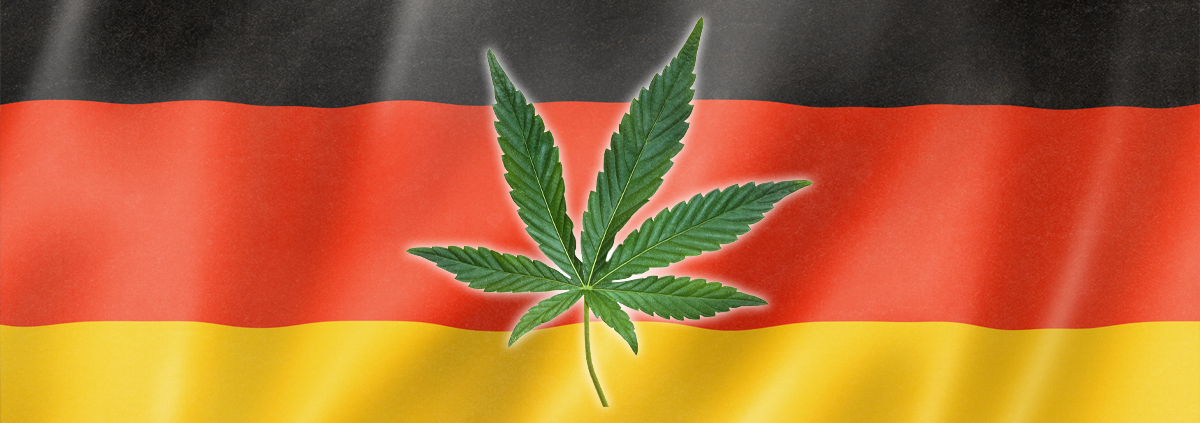 survey:-94%-of-germans-who-consumed-cannabis-did-so-for-medical-reasons-–-ganjapreneur-|-how-to-buy-skittles-moonrock-online