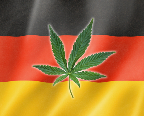 survey:-94%-of-germans-who-consumed-cannabis-did-so-for-medical-reasons-–-ganjapreneur-|-how-to-buy-skittles-moonrock-online