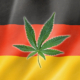 survey:-94%-of-germans-who-consumed-cannabis-did-so-for-medical-reasons-–-ganjapreneur-|-how-to-buy-skittles-moonrock-online