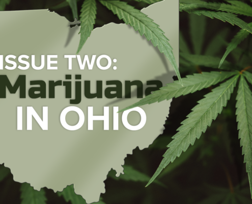 what-is-ohio-issue-2-(oct.-2)?-we-explain-ohio’s-recreational-marijuana-ballot-question-|-how-to-buy-skittles-moonrock-online