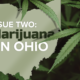 what-is-ohio-issue-2-(oct.-2)?-we-explain-ohio’s-recreational-marijuana-ballot-question-|-how-to-buy-skittles-moonrock-online