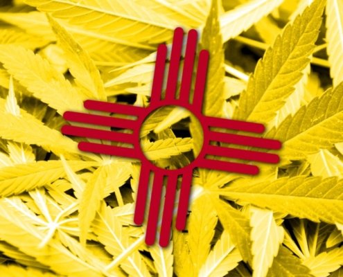 new-mexico-marijuana-sales-top-$51.1-million-in-august-|-how-to-buy-skittles-moonrock-online