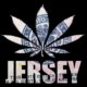 new-jersey-cannabis-commission-shakeup-|-where-to-buy-skittles-moonrock-online