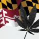 maryland-marijuana-sales-continue-to-grow-with-$100-million-in-august-|-how-to-order-skittles-moonrock-online