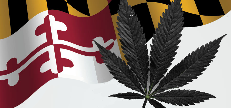 maryland-marijuana-sales-continue-to-grow-with-$100-million-in-august-|-how-to-order-skittles-moonrock-online