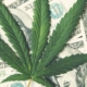 ohio-adult-use-cannabis-sales-exceed-$76.2m-in-under-two-months-–-ganjapreneur-|-where-to-buy-skittles-moonrock-online