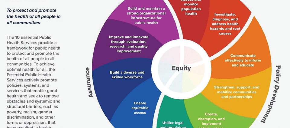 report:-us-cannabis-policies-‘prioritize-profit-over-public-health.’-|-where-to-order-skittles-moonrock-online