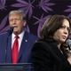 curaleaf-dispensaries-in-arizona-selling-election-themed-strains-based-on-presidential-candidates-–-ganjapreneur-|-where-to-order-skittles-moonrock-online