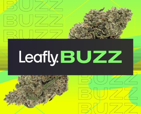 leafly-buzz:-12-hot-cannabis-strains-of-october-2024-|-how-to-order-skittles-moonrock-online