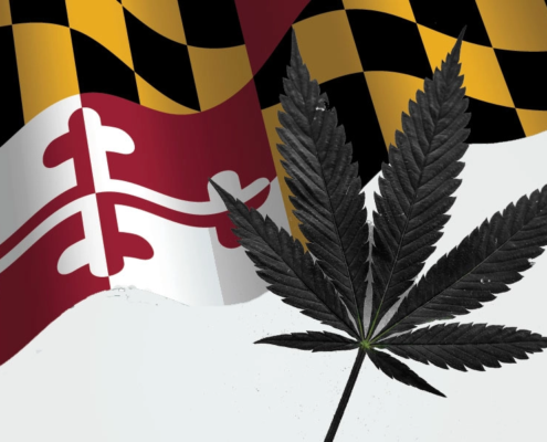 maryland-establishes-$14,000-grants-for-technical-assistance-|-how-to-buy-skittles-moonrock-online