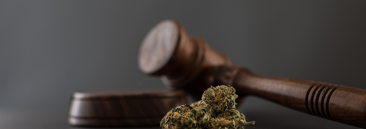 lawsuit:-federal-seizure-of-state-legal-cannabis-products-in-new-mexico-violates-fifth-amendment-–-ganjapreneur-|-where-to-order-skittles-moonrock-online