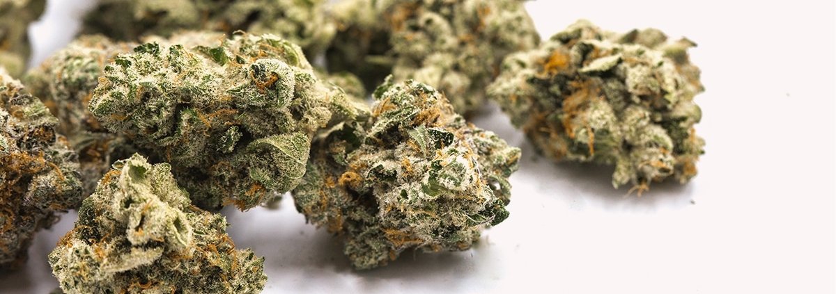 gallup-poll:-15%-of-americans-smoke-cannabis-–-ganjapreneur-|-how-to-order-skittles-moonrock-online