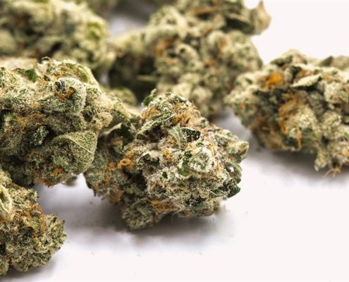 gallup-poll:-15%-of-americans-smoke-cannabis-–-ganjapreneur-|-how-to-order-skittles-moonrock-online