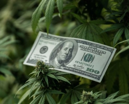 decibel-cannabis-insiders-lead-$2m-funding-round-|-where-to-order-skittles-moonrock-online