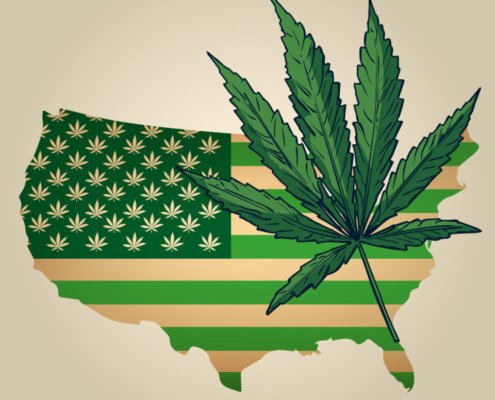 nebraska-oks-medical-cannabis-use,-dakotas-reject-adult-use-|-how-to-buy-skittles-moonrock-online