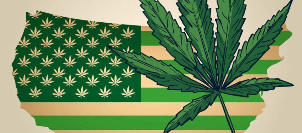 nebraska-oks-medical-cannabis-use,-dakotas-reject-adult-use-|-how-to-buy-skittles-moonrock-online