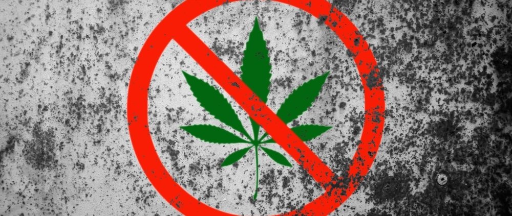 florida-voters-reject-recreational-cannabis-ballot-measure-|-how-to-order-skittles-moonrock-online