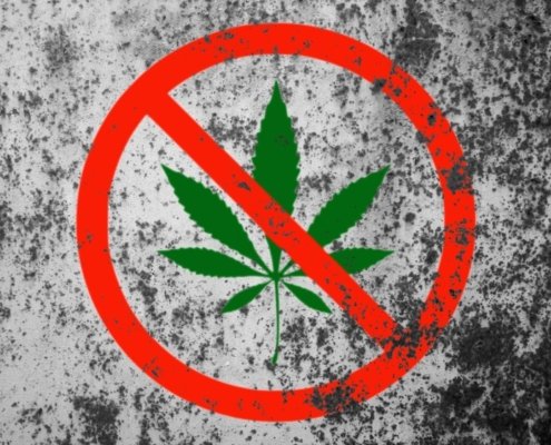 florida-voters-reject-recreational-cannabis-ballot-measure-|-how-to-order-skittles-moonrock-online