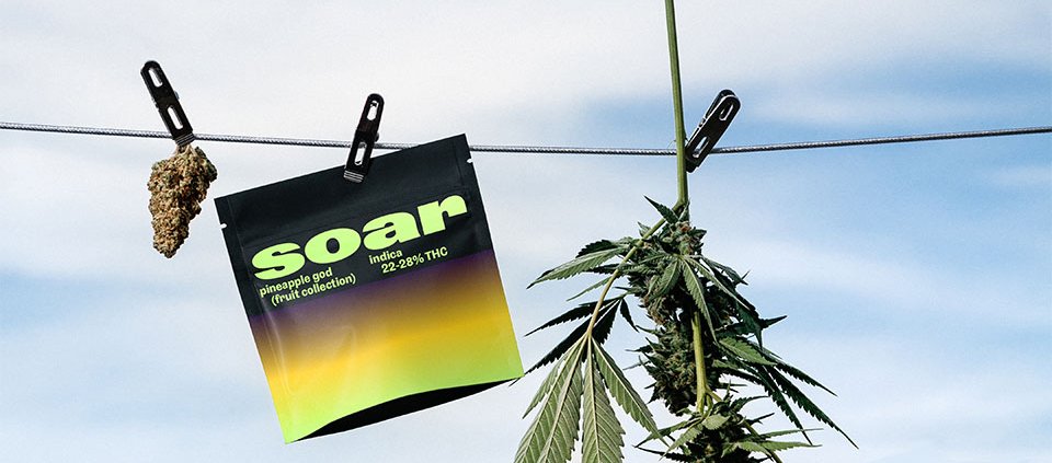 village-farms-says-revenue-rose-20%-in-the-third-quarter-|-where-to-order-skittles-moonrock-online