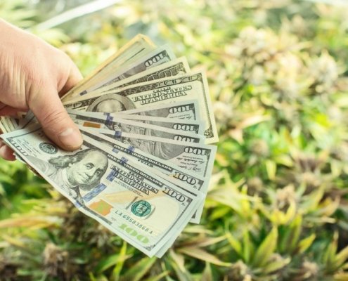 chicago-atlantic-bdc-reports-investment-income-rise-|-how-to-order-skittles-moonrock-online