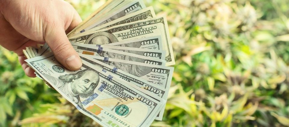 chicago-atlantic-bdc-reports-investment-income-rise-|-how-to-order-skittles-moonrock-online