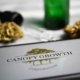 canopy-growth’s-revenue-falls-amid-continued-losses-|-how-to-order-skittles-moonrock-online