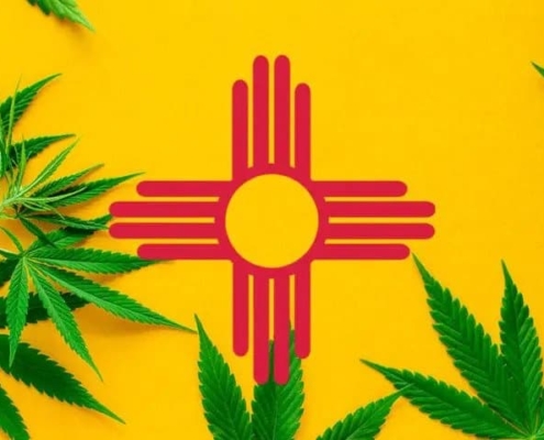 new-mexico-bill-would-give-cannabis-officials-new-enforcement-powers-–-ganjapreneur-|-where-to-order-skittles-moonrock-online