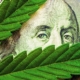 missouri-court-rules-‘stacking’-cannabis-taxes-is-prohibited-–-ganjapreneur-|-where-to-order-skittles-moonrock-online