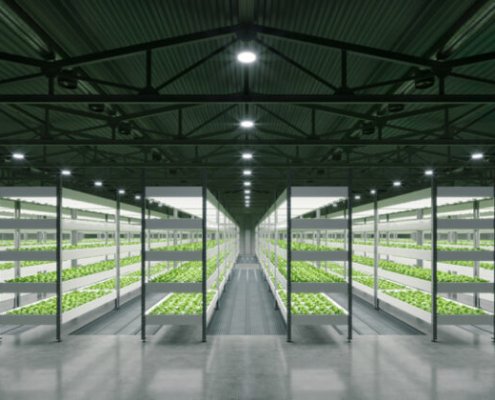 cea-industries-to-buy-unnamed-specialty-retailer-|-where-to-order-skittles-moonrock-online