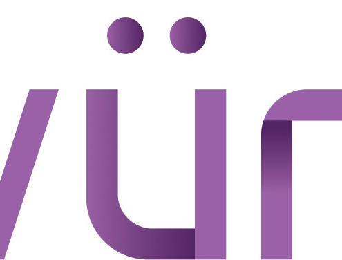 wurk-enhances-client-success-with-new-analytics-tool-|-how-to-order-skittles-moonrock-online