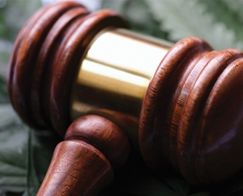 cannabis-rescheduling-hearing-to-run-through-march-2025-|-where-to-order-skittles-moonrock-online