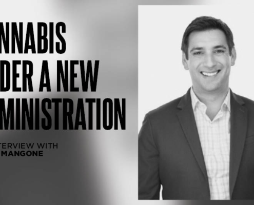 trump-is-in:-will-pro-cannabis-reform-be-in-or-out?-|-where-to-order-skittles-moonrock-online